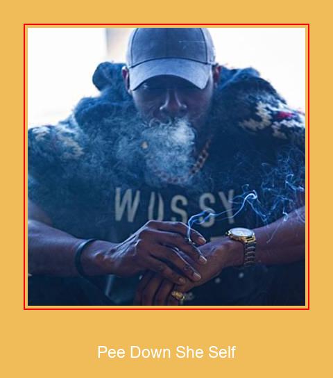 Pee Down She Self Samsung Ringtone Download pulsuz