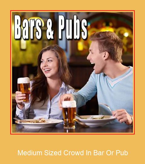 Medium Sized Crowd In Bar Or Pub Samsung Ringtone Descărcați gratuit