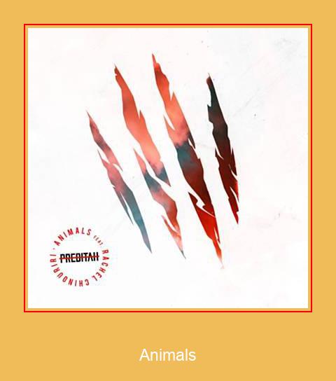Animals Samsung Ringtone descarrega gratis