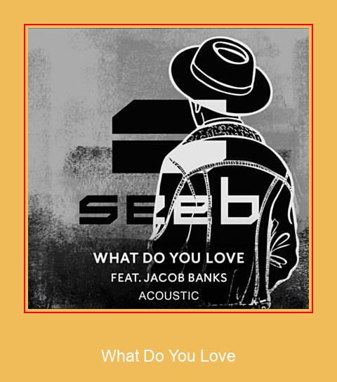 What Do You Love Samsung Ringtone Lae alla tasuta