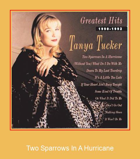 Two Sparrows In A Hurricane \'Samsung ringtone\' atsisiųsti nemokamai