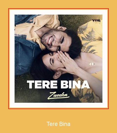 Tere Bina Samsung Ringtone Download Grátis