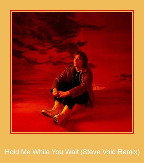 Hold Me While You Wait (Steve Void Remix) Samsung Ringtone Pobierz za darmo
