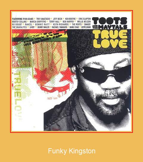 Funky Kingston Samsung Ringtone Stiahnite si zadarmo