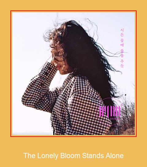 The Lonely Bloom Stands Alone Samsung ringtone download gratis