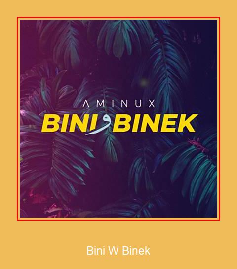 Bini W Binek Samsung ringtone завантажити безкоштовно