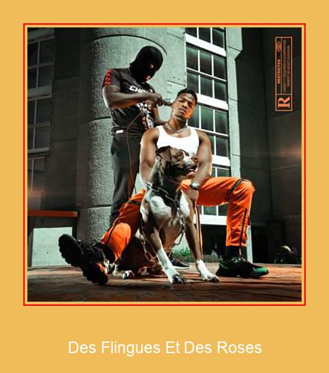 Des Flingues Et Des Roses Samsung ringtone download gratis