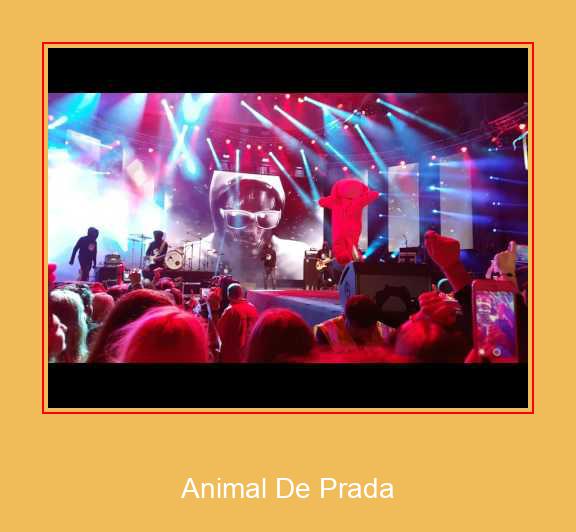 Animal De Prada Samsung Ringtone Download Free