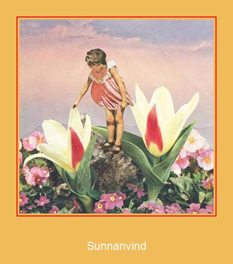 Sunnanvind 三星铃声免费下载