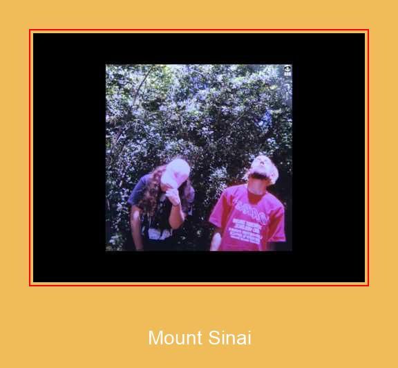 Mount Sinai Samsung Ringtone Download Free