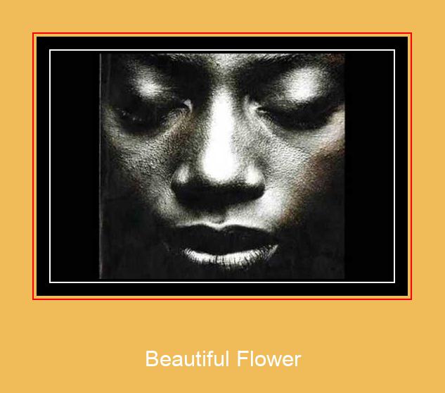 Beautiful Flower Samsung Ringtone Scarica gratis