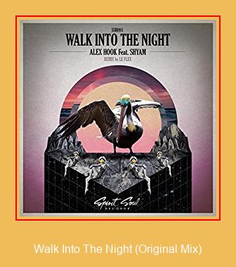 Walk Into The Night (Original Mix) Samsung Ringtone دانلود رایگان