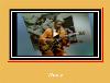 Windy স্যামসাং জন্য রিংটোন