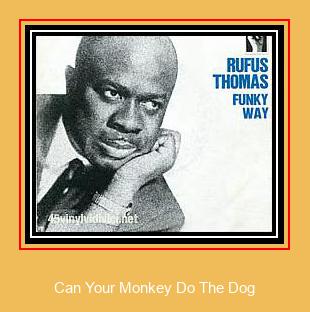 Can Your Monkey Do The Dog Samsung Ringtone Lataa ilmaiseksi
