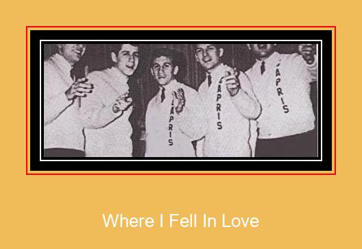 Where I Fell In Love Samsung zil sesi indir ücretsiz