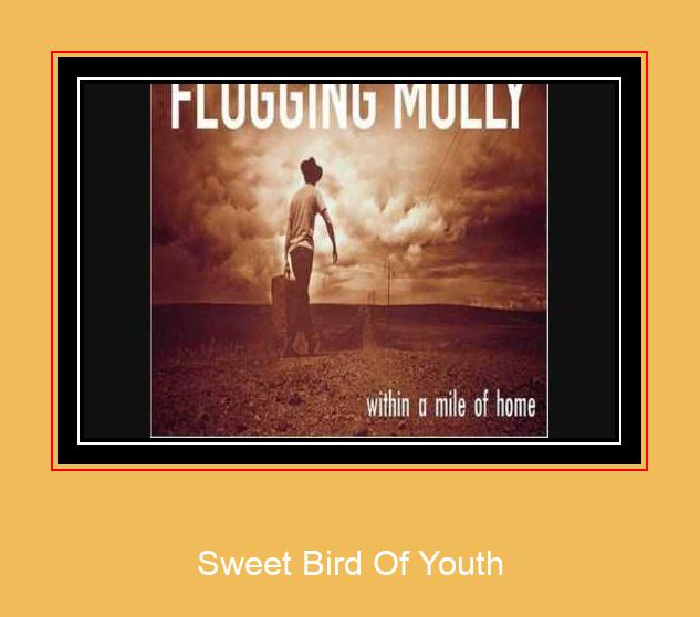 Sweet Bird Of Youth சாம்சங் ரிங்டோன் பதிவிறக்க இலவச