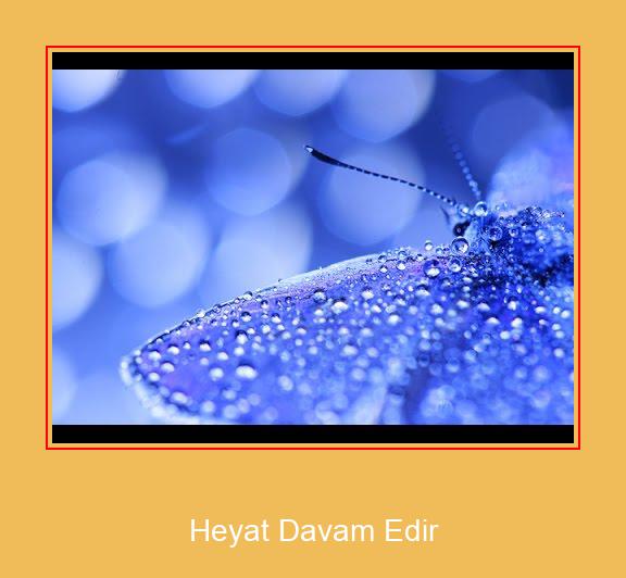 Heyat Davam Edir Samsung ringtone завантажити безкоштовно