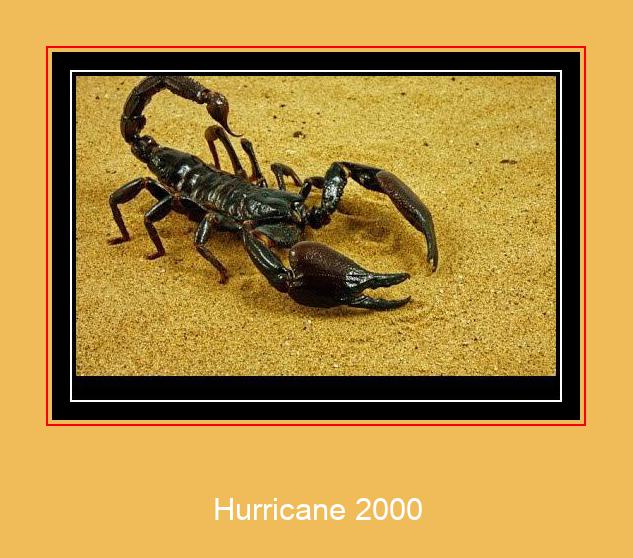 Hurricane 2000 サムスンの着信メロディを無料でダウンロードしてください
