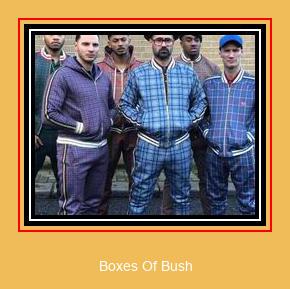 Boxes Of Bush Samsung Ringtone Letöltés Ingyenes