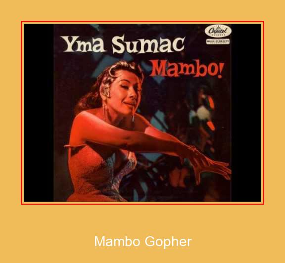 Mambo Gopher Samsung Ringtone دانلود رایگان
