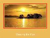 Chasing The Sun Samsungi ringtone