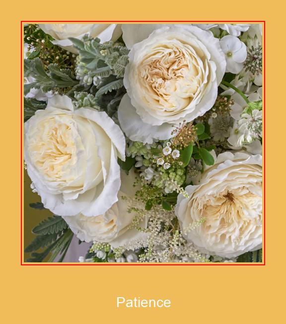 Patience Samsung ringtone download gratis