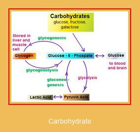 Carbohydrate Samsung ringtone download gratis