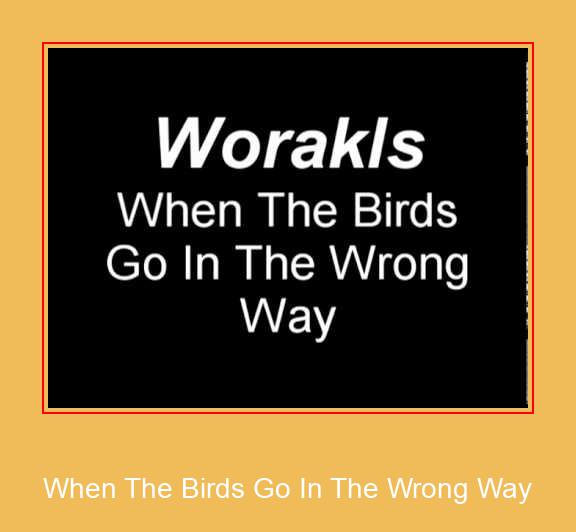 When The Birds Go In The Wrong Way Samsung zil sesi indir ücretsiz