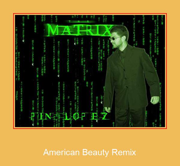 American Beauty Remix Samsung ringtone завантажити безкоштовно