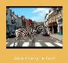 Zebras Crossing The Street Dzwonek do Samsung.