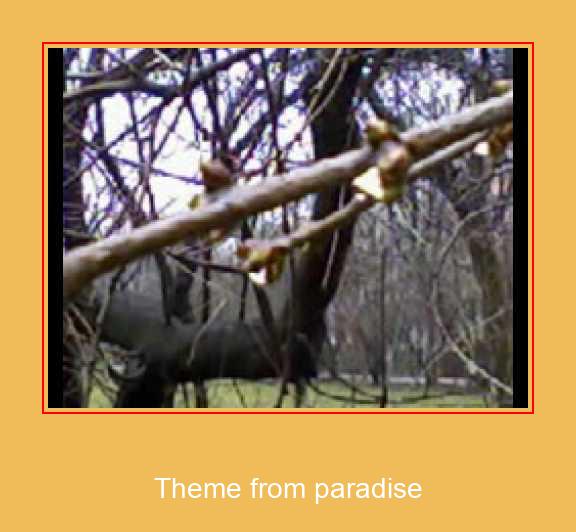 Theme From Paradise Samsung Ringtone Ladda ner gratis