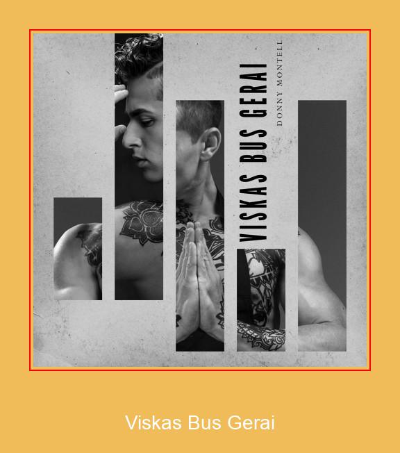 Viskas Bus Gerai Samsung Ringtone Download Free
