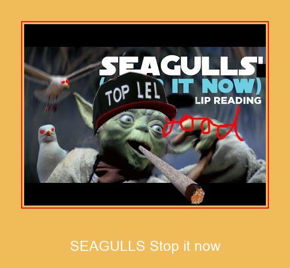 SEAGULLS Stop It Now 삼성 벨소리 다운로드 무료