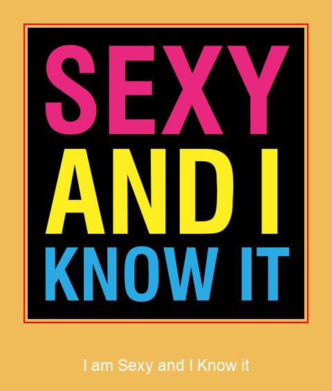 I Am Sexy And I Know It Samsung Ringtone Download GRATIS