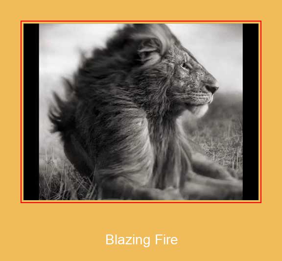 Blazing Fire Samsung Ringtone Download pulsuz