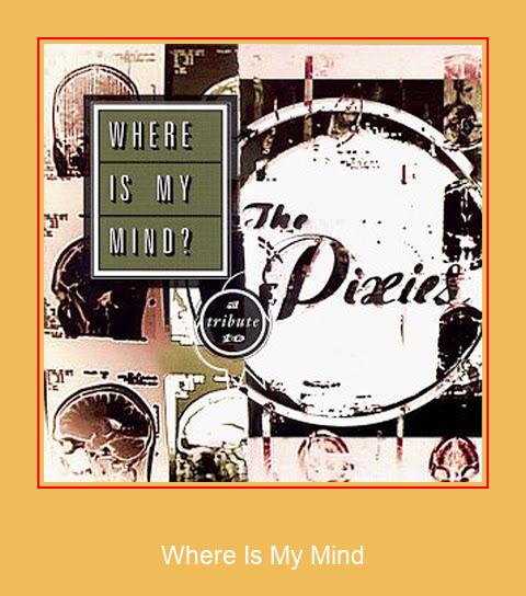 Where Is My Mind Samsung Ringtone دانلود رایگان