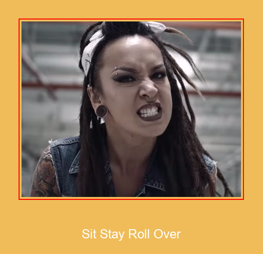 Sit Stay Roll Over Samsung Ringtone Λήψη δωρεάν