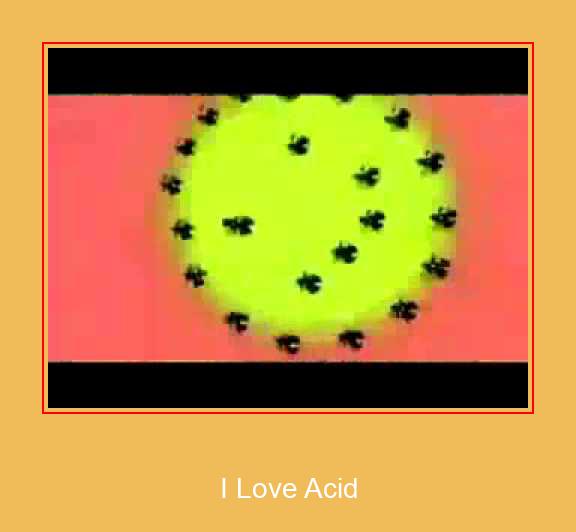 I Love Acid স্যামসাং রিংটোন বিনামূল্যে ডাউনলোড করুন