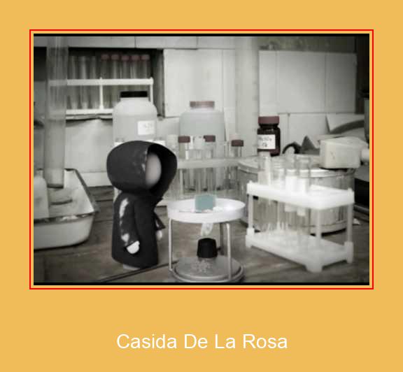 Casida De La Rosa சாம்சங் ரிங்டோன் பதிவிறக்க இலவச
