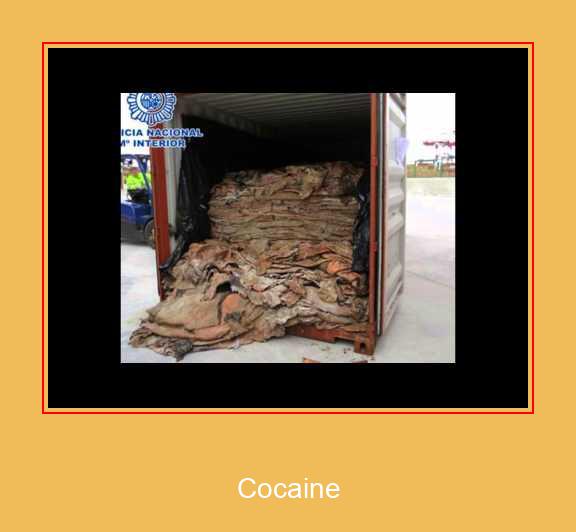Cocaine サムスンの着信メロディを無料でダウンロードしてください