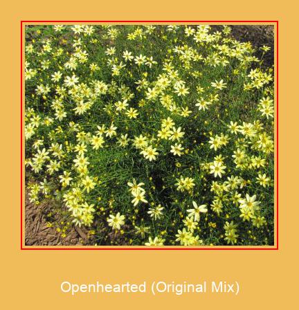 Openhearted (Original Mix) 삼성 벨소리 다운로드 무료