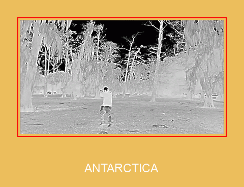 ANTARCTICA  Samsung Ringtone Ladda ner gratis