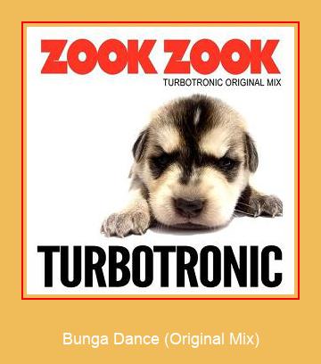 Bunga Dance (Original Mix) Samsung Ringtone Download pulsuz