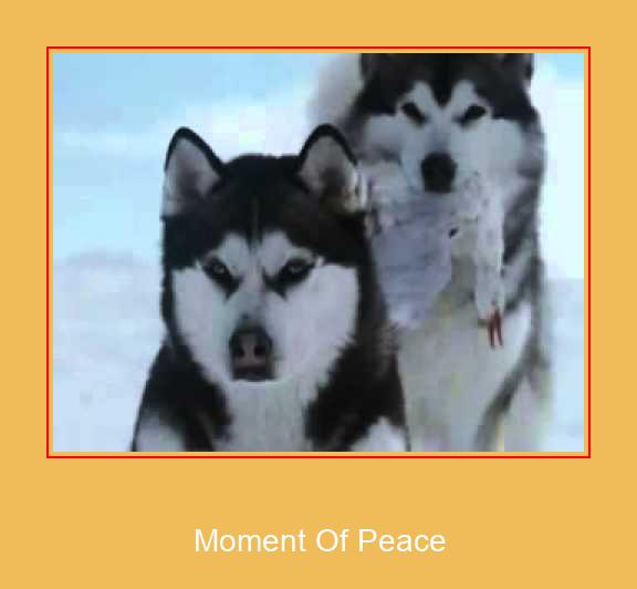 Moment Of Peace சாம்சங் ரிங்டோன் பதிவிறக்க இலவச