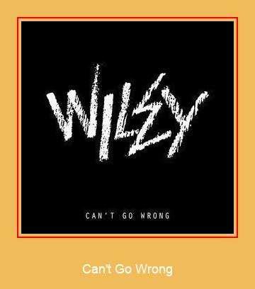 Can't Go Wrong Samsung zil sesi indir ücretsiz
