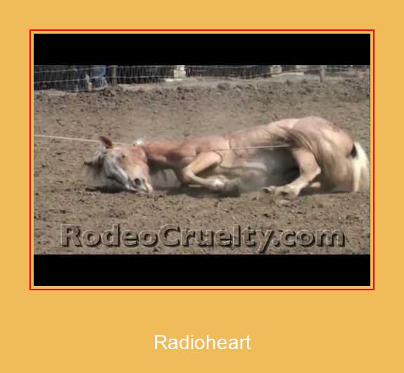 Radioheart ಸ್ಯಾಮ್ಸಂಗ್ ರಿಂಗ್ಟೋನ್ ಡೌನ್ಲೋಡ್ ಉಚಿತ