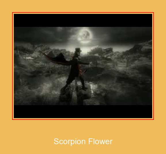 Scorpion Flower Samsung Ringtone Download Free